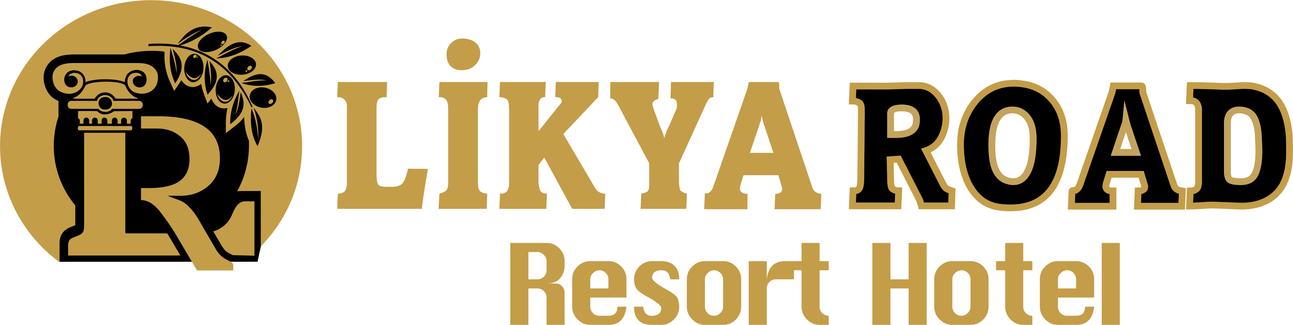 	https://www.likyaroad.com.tr/tr